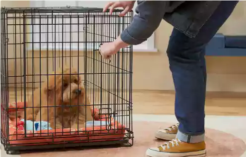 why use a heavy duty dog crate 