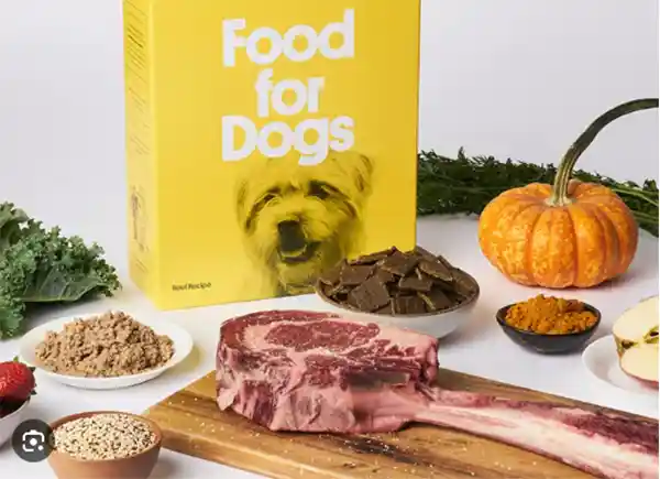 Ingredients of Sundays Dog Food Recipes