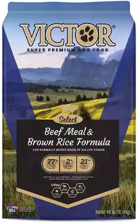 Victor Select Beef Meal and Brown Rice