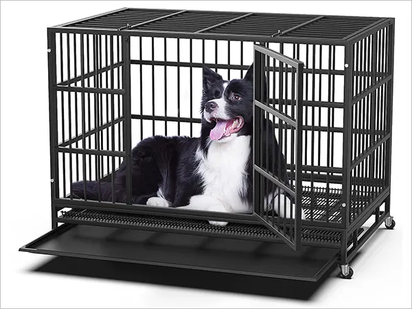 high anxiety dog separation crate