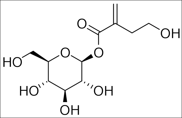 Tulipanin, A Chemical Structure