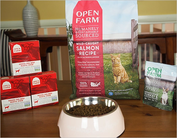 Open Farm Wild-Caught Salmon Dry Cat Foodd