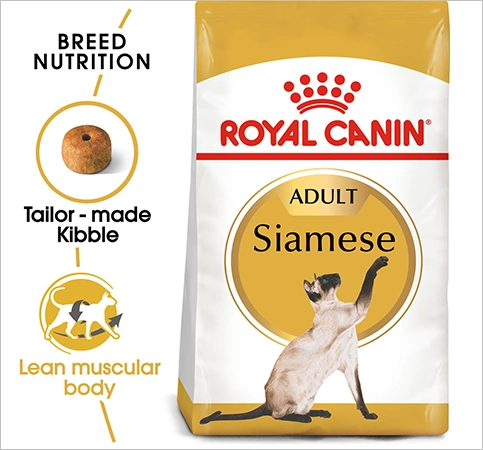 Royal Canin Siamese Dry Cat Foods