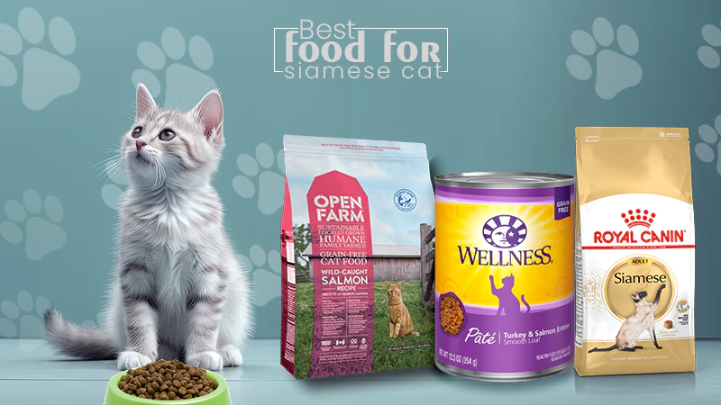 best food for siamese cat