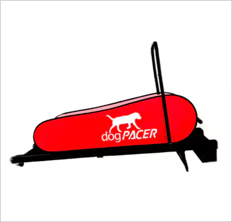Dog Pacer LF Treadmill 3 1