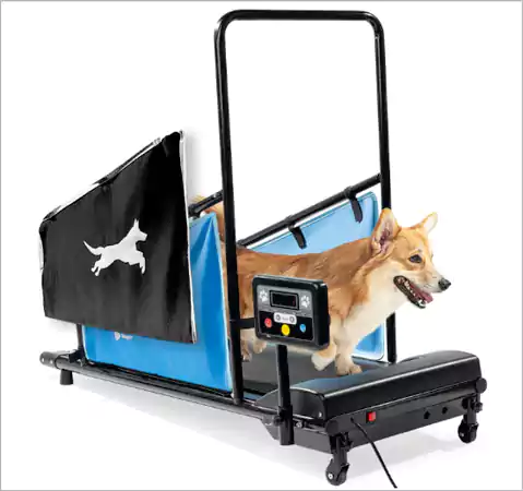 Lifepro Dog Treadmill