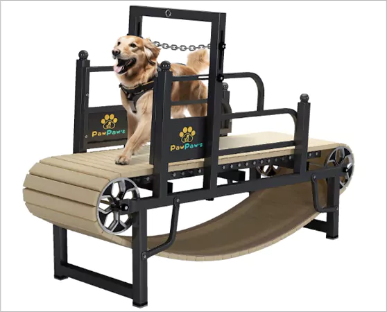PawPaws Dog Treadmill